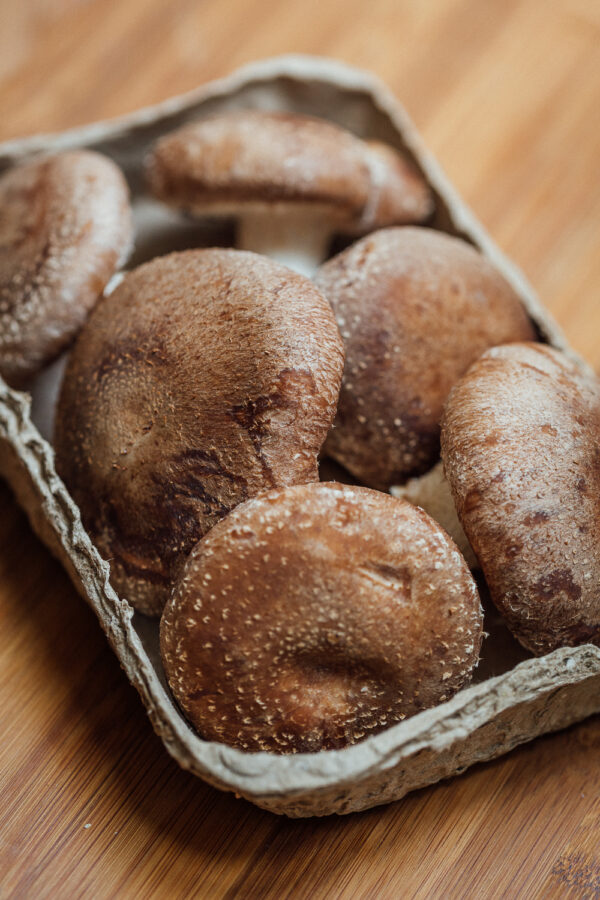 Cogumelo (200g) Assinatura - Cultura Fungi